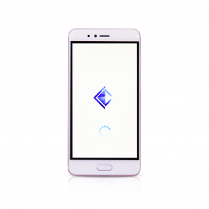 CybrSec Phone