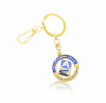 Acellus Cube Keychain